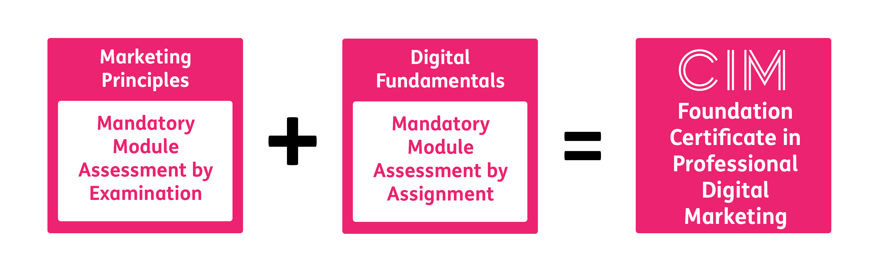CIM Foundation Certificate in Professional Digital Marketing